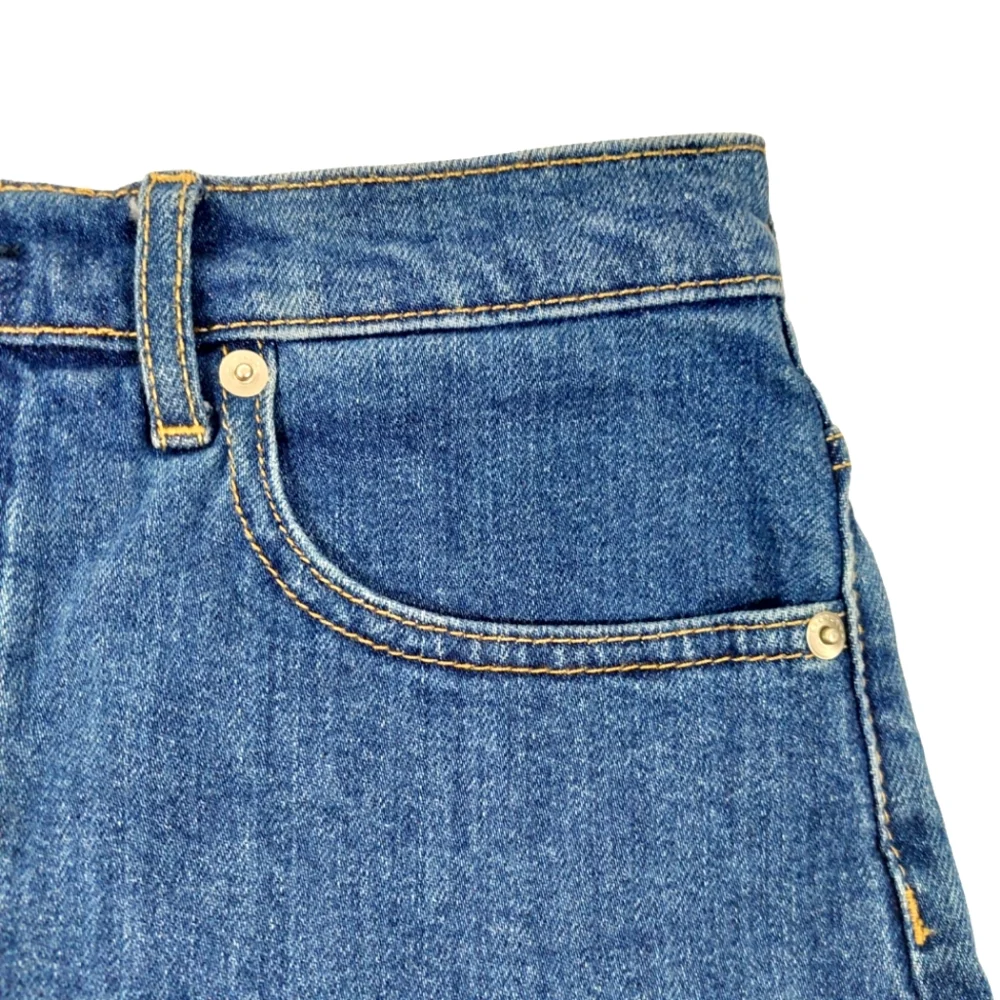 Everlane Checky Blue Button Fly Frayed Shorts
